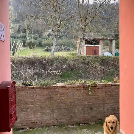 Tot'i De Baraca La Strada