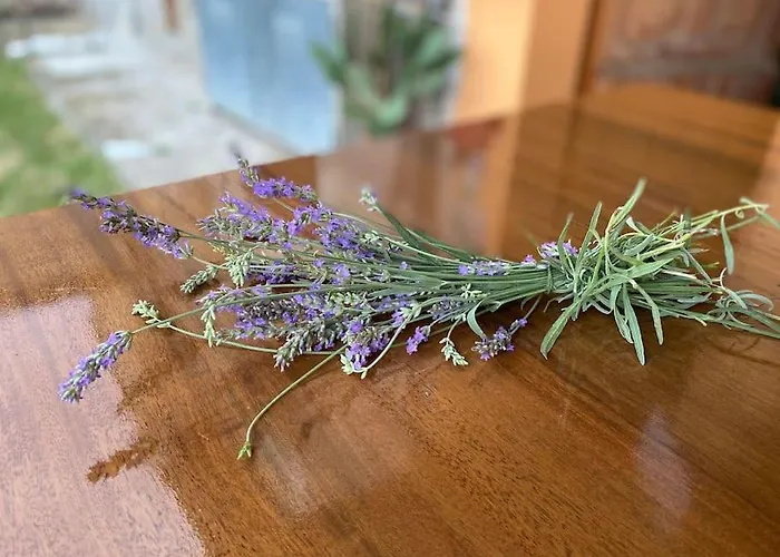 דירה Tot'i De Baraca La Strada