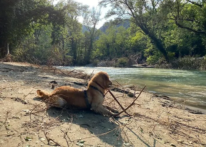 דירה Tot'i De Baraca La Strada
