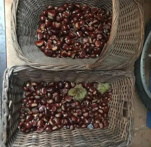 דירה Tot'i De Baraca La Strada