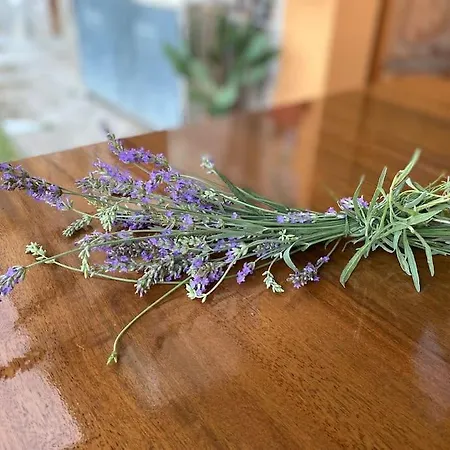 Apartamento Tot'i De Baraca La Strada