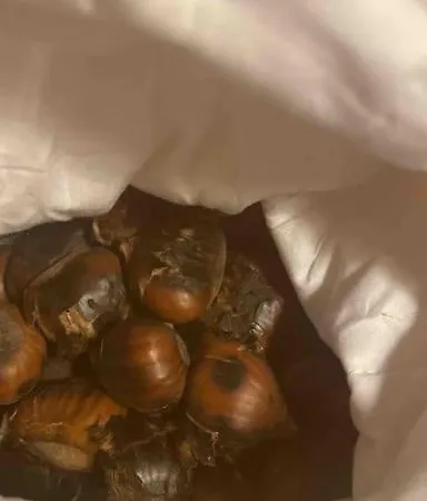 Apartamento Tot'i De Baraca