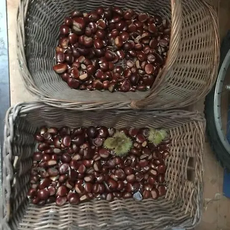 Apartamento Tot'i De Baraca La Strada