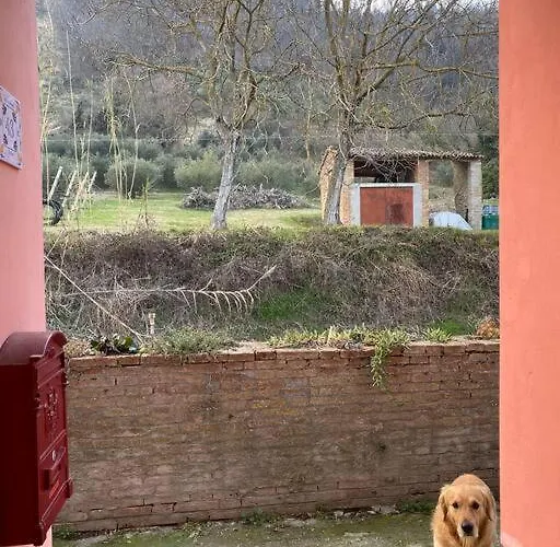 Tot'i De Baraca La Strada