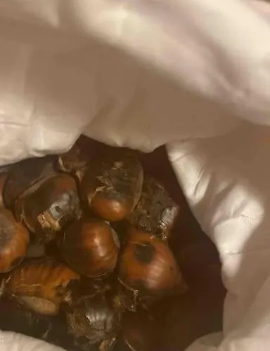 Appartamento Tot'i Dè Baraca